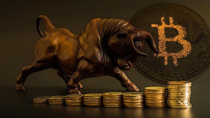 The Cryptocurrency Bulls