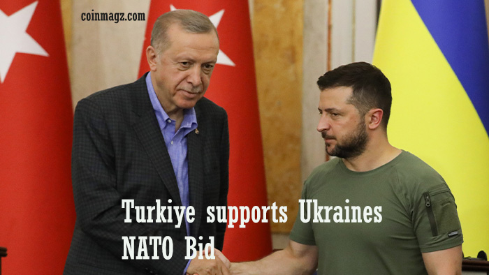 Turkiye supports Ukraines NATO Bid